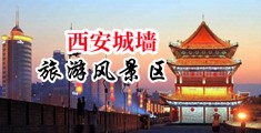 美女与大吊在线看中国陕西-西安城墙旅游风景区